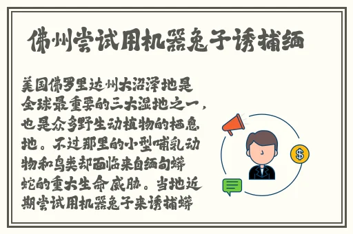雷电将军裸身被